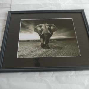 Printed photo with frame